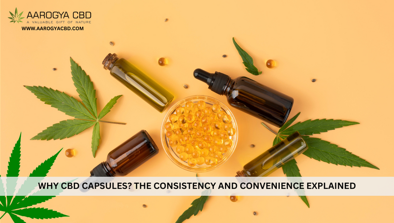 Why CBD Capsules? The Consistency and Convenience Explained