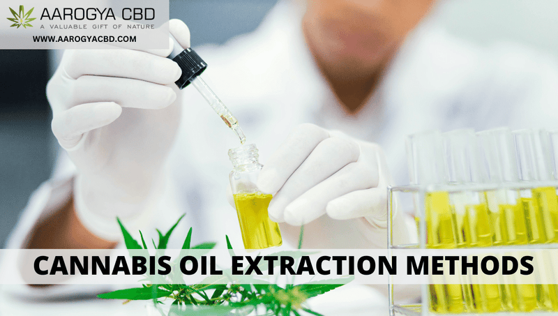 What Are The Best Cannabis Oil Extraction Methods