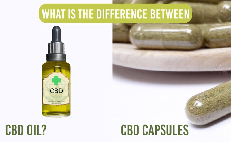 What is the Diffrence Between CBD Capsules and CBD Oil?
