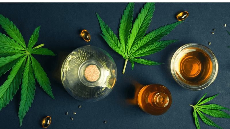 How To Buy CBD Oil In India?