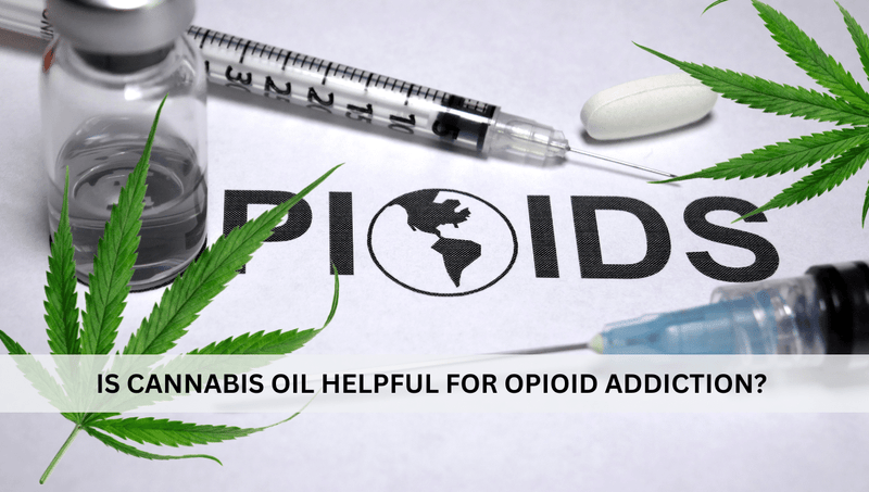 Is Cannabis Oil Helpful for Opioid Addiction? Know here