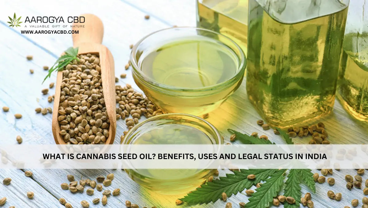 What Is Cannabis Seed Oil? Benefits, Uses and Legal Status in India