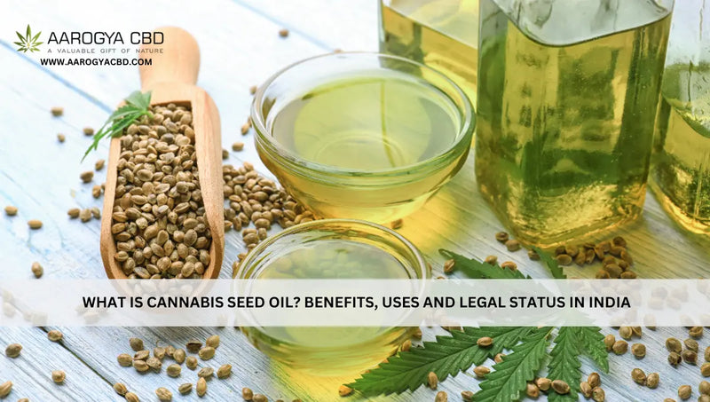 What Is Cannabis Seed Oil? Benefits, Uses and Legal Status in India