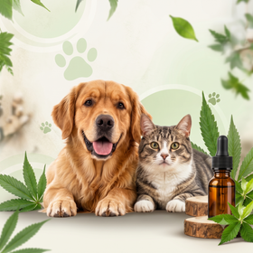 Pets CBD