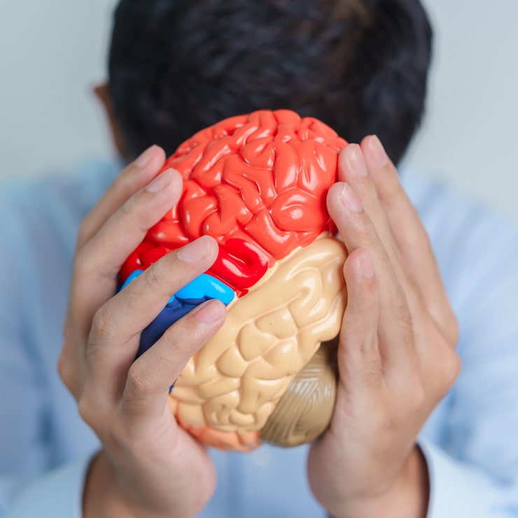 CBD Oil For Alzheimer’s