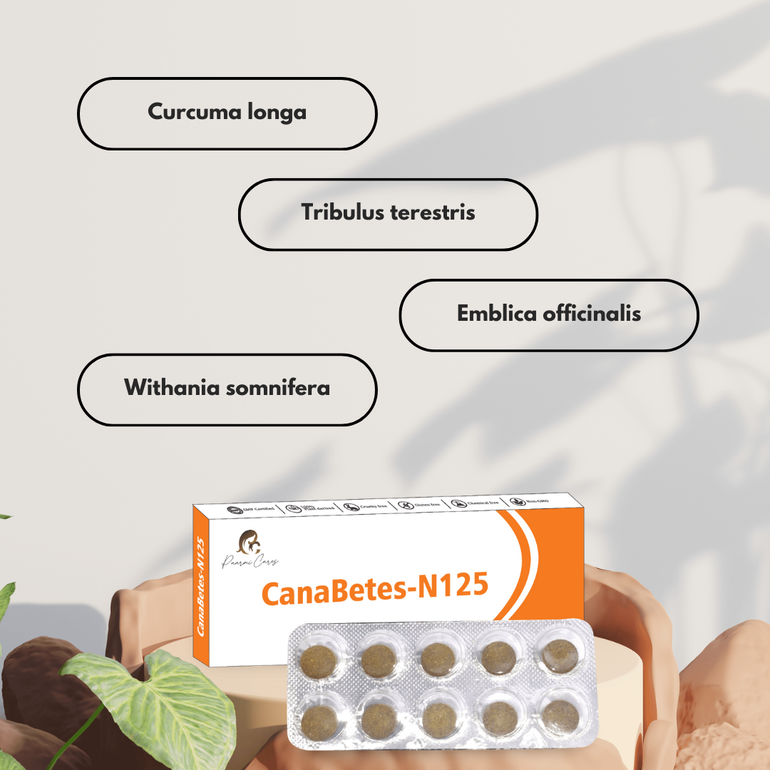 Paarmi Cares CanaBetes-N125 (For Diabetes)