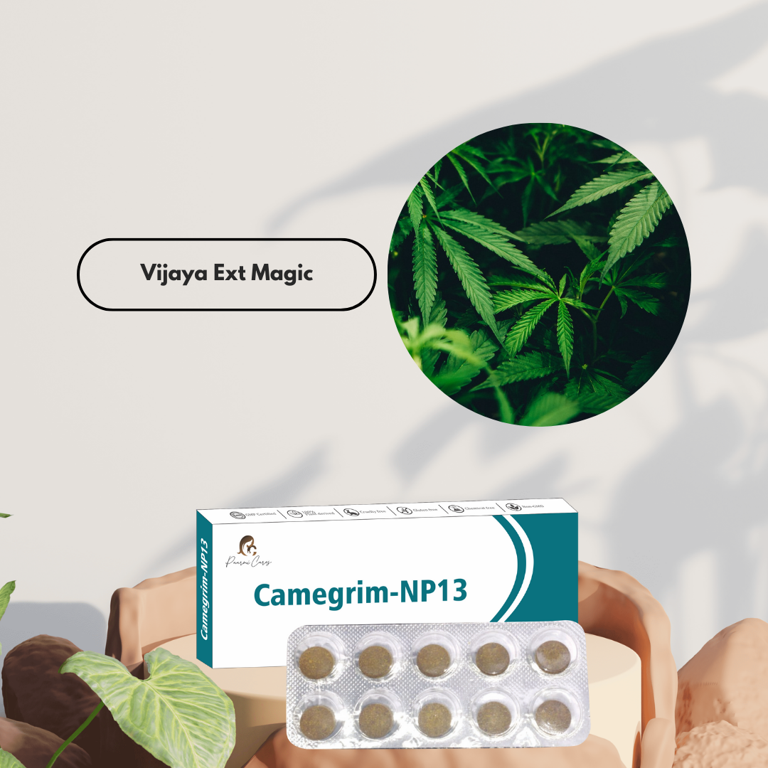 Paarmi Cares Camegrim-NP13 (For Migrain)