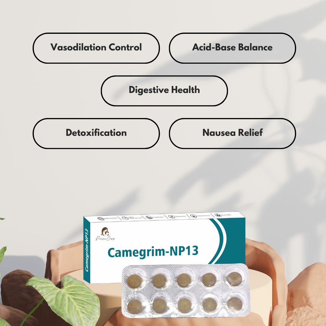 Paarmi Cares Camegrim-NP13 (For Migrain)