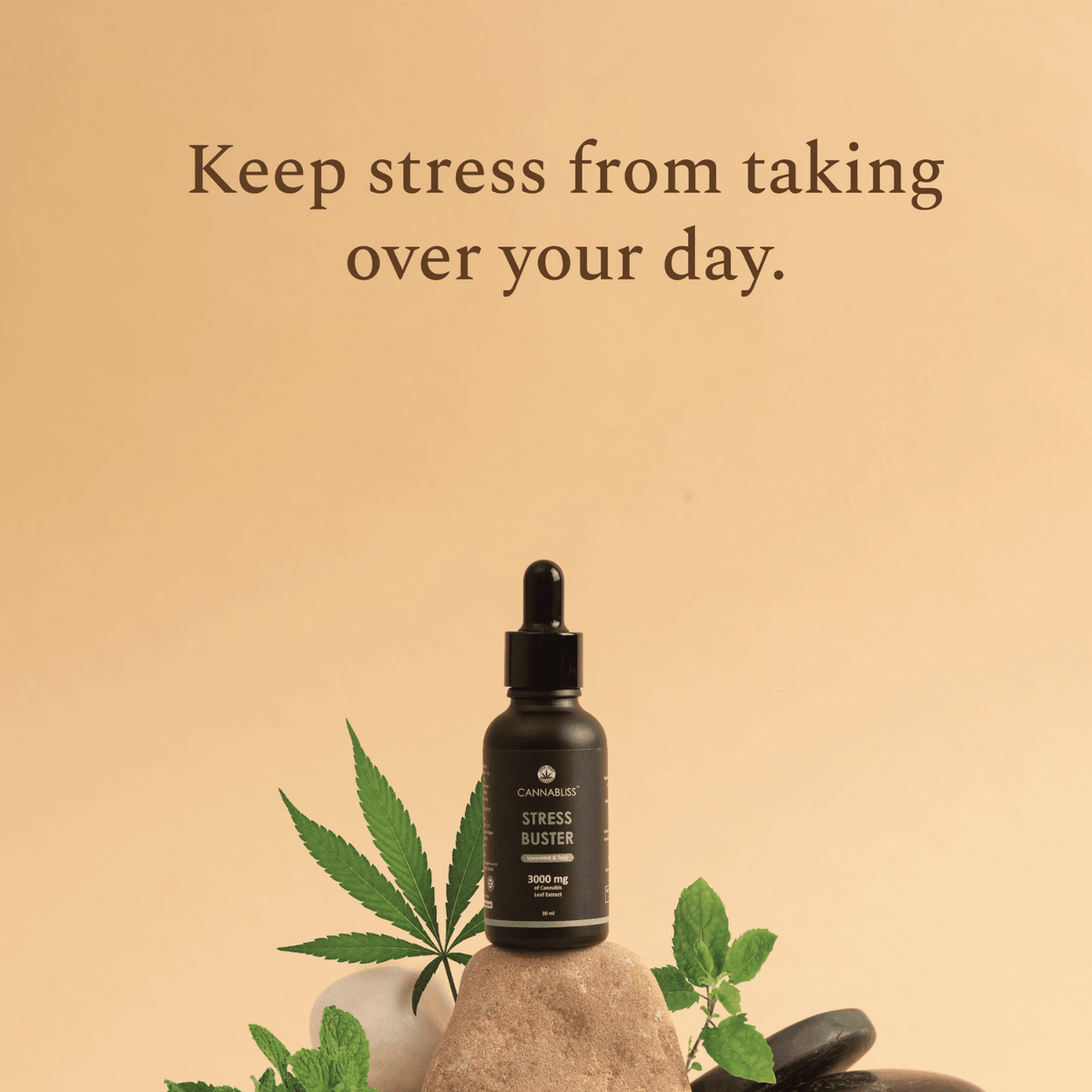 CannaBliss Stress Buster