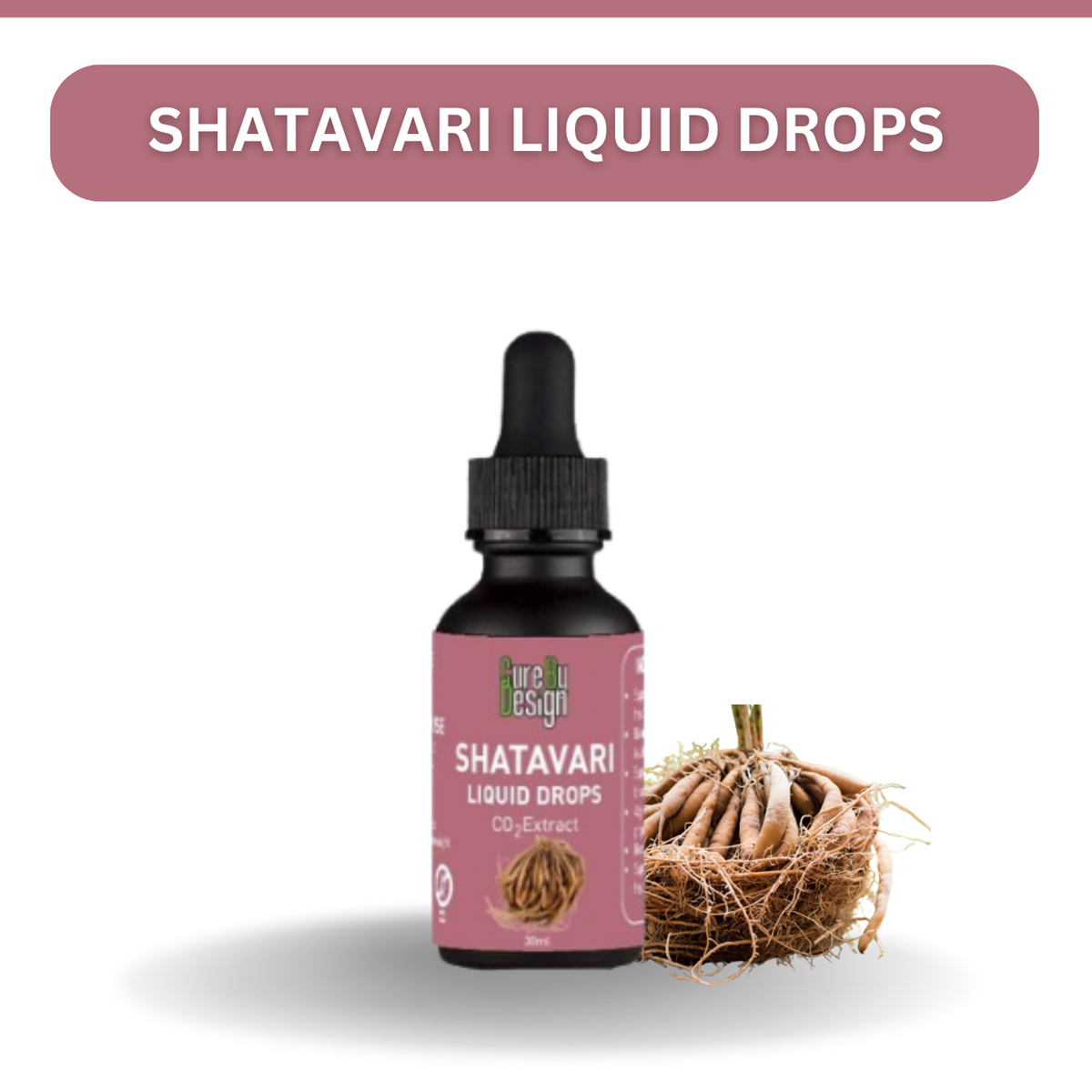 Shatavari Oil
