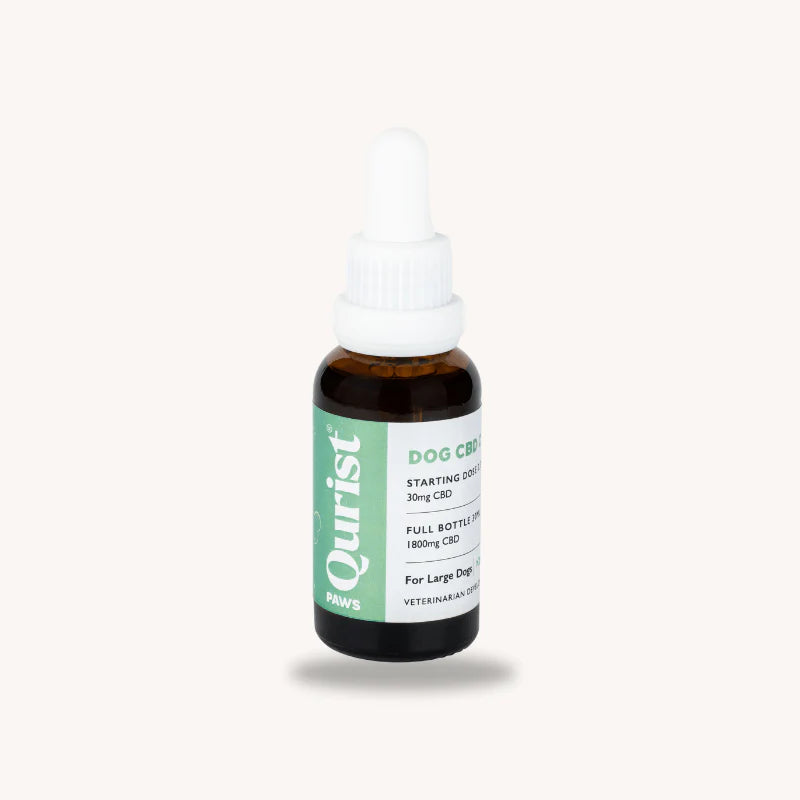 Dog CBD Oil
