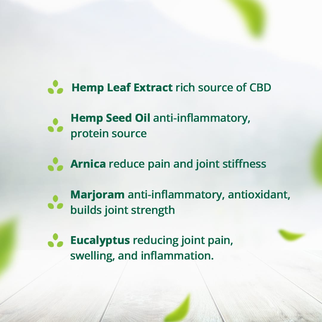 Hampa Hemp Arthritis Care Oil