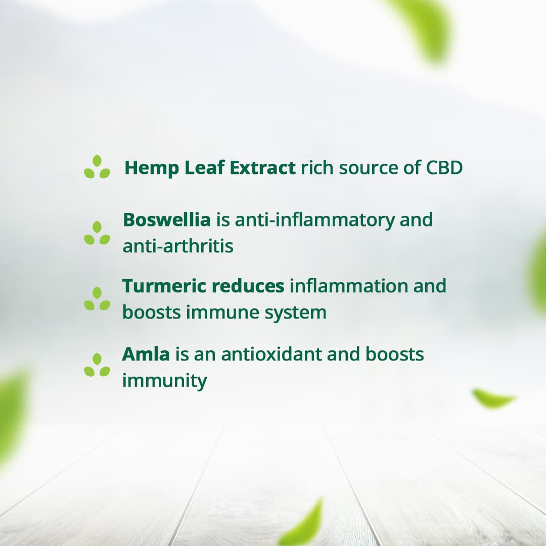 Hampa Hemp Joint Care Capsules