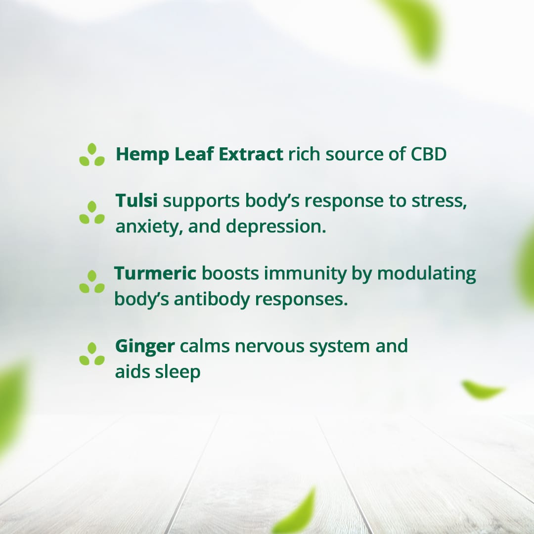Hampa Hemp Stress Relief Capsules