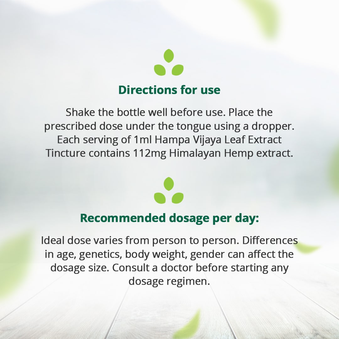 Hampa Vijaya Extract Tincture (11.2%)