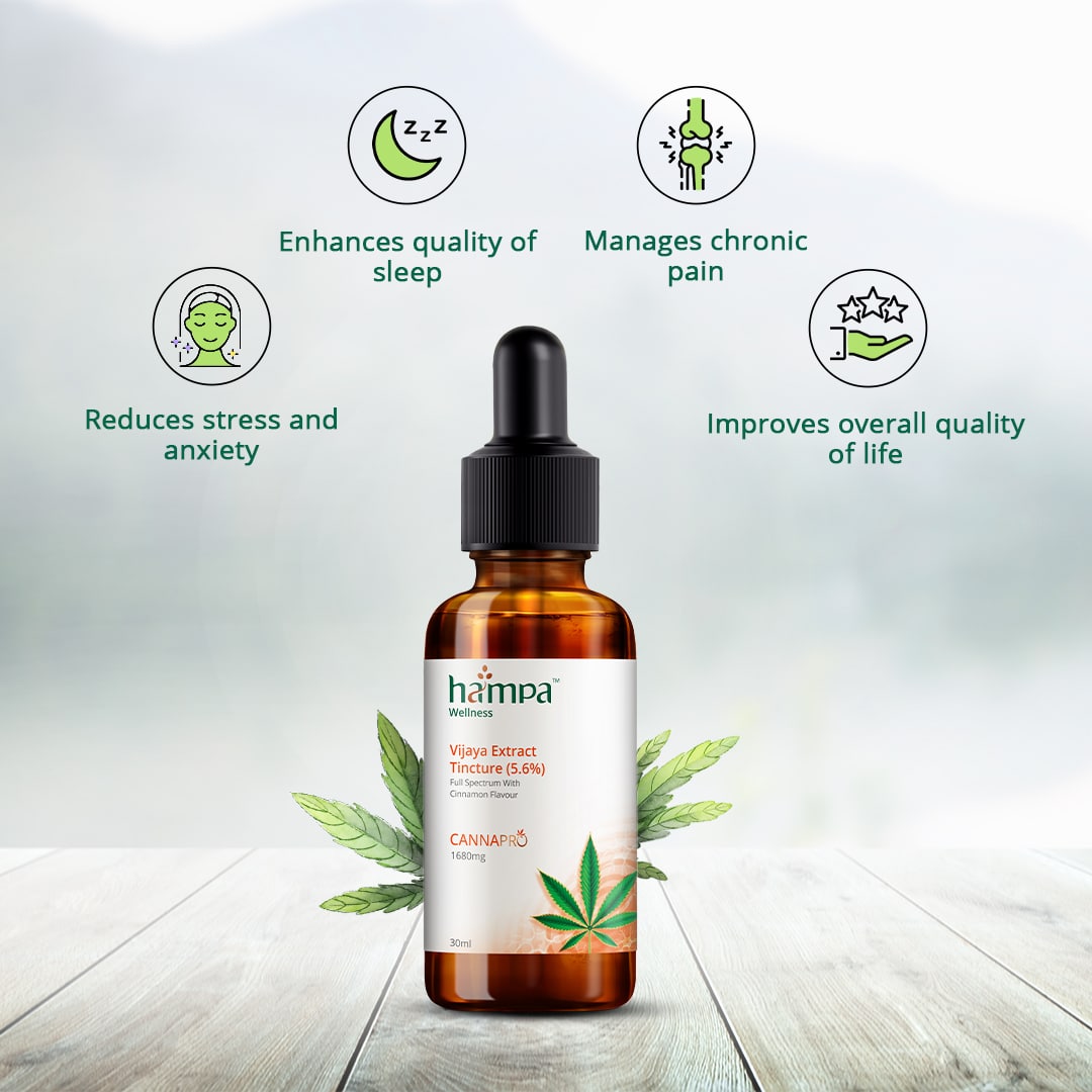 Hampa Vijaya Extract Tincture (5.6%)