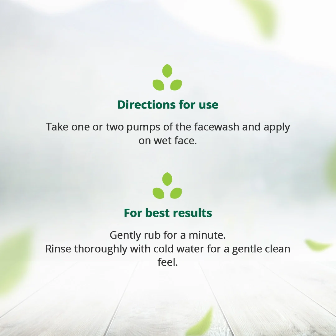 Hemp Foaming Face Wash