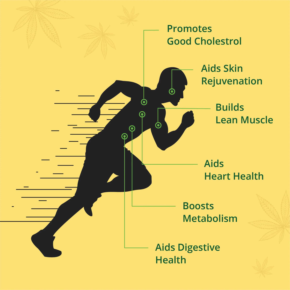 Hampa Hemp Seed Oil