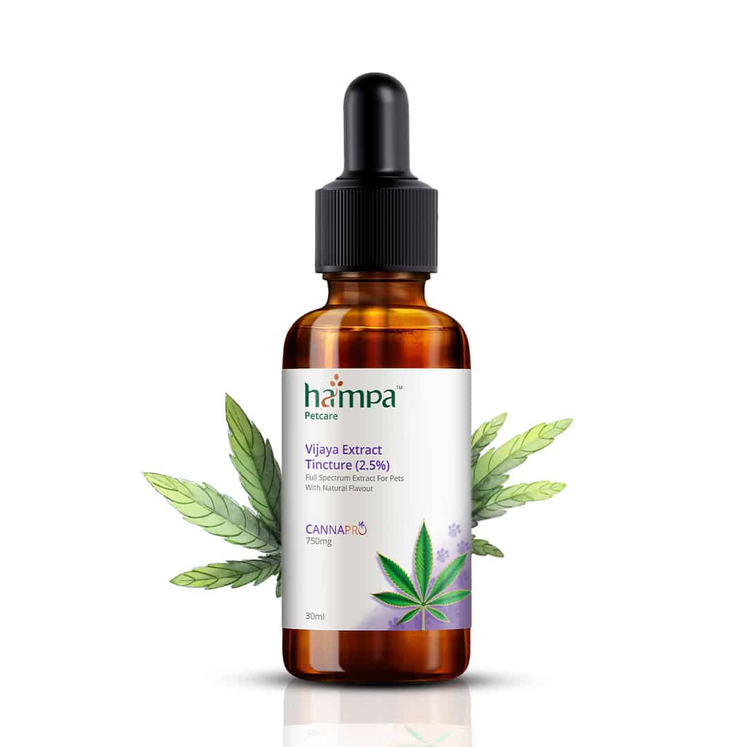 Hampa Vijaya Extract Tincture (2.5%) for Pets - 30ml