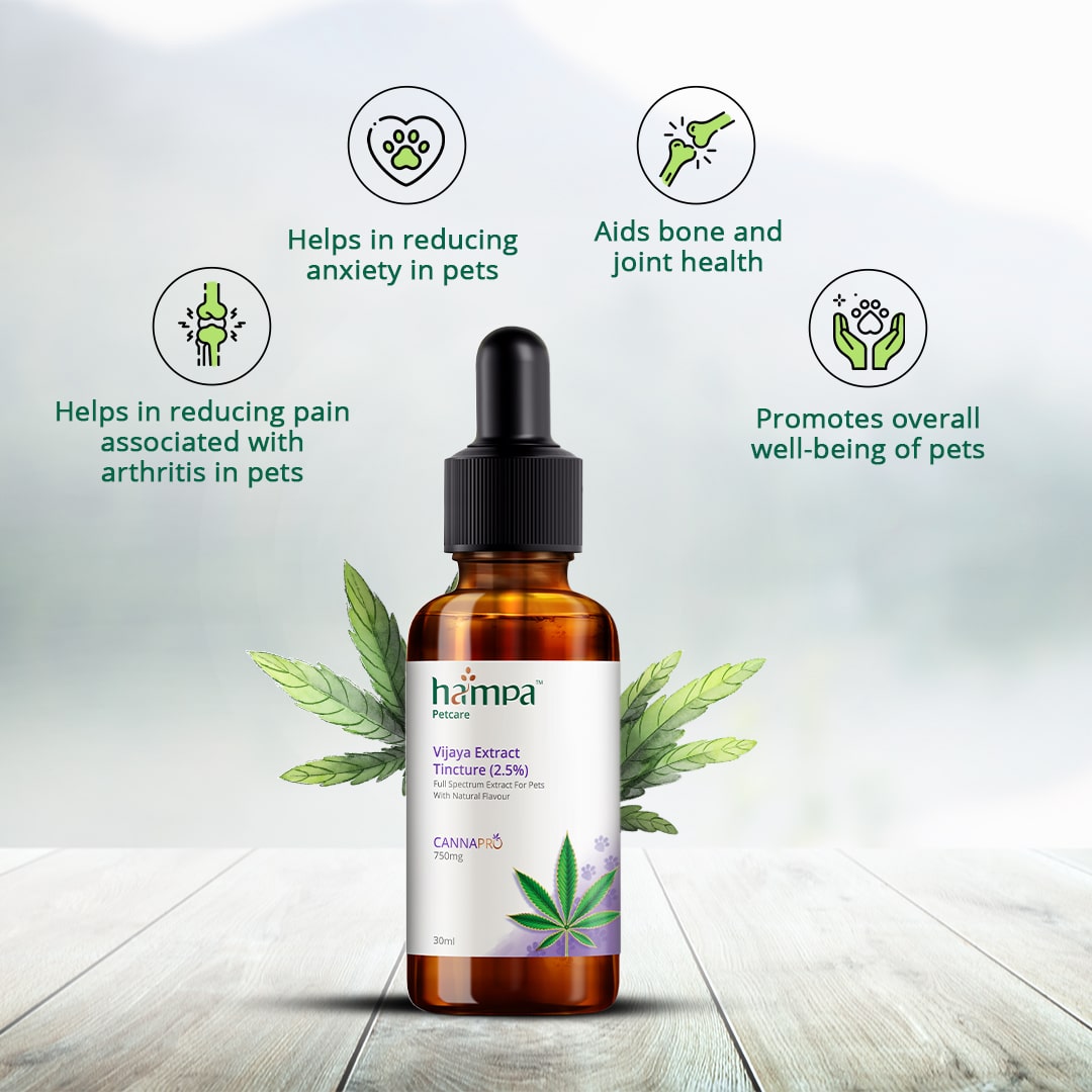 Hampa Vijaya Extract Tincture (2.5%) for Pets