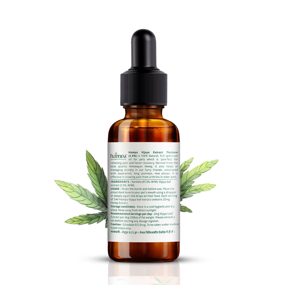 Hampa Vijaya Extract Tincture (2.5%) for Pets