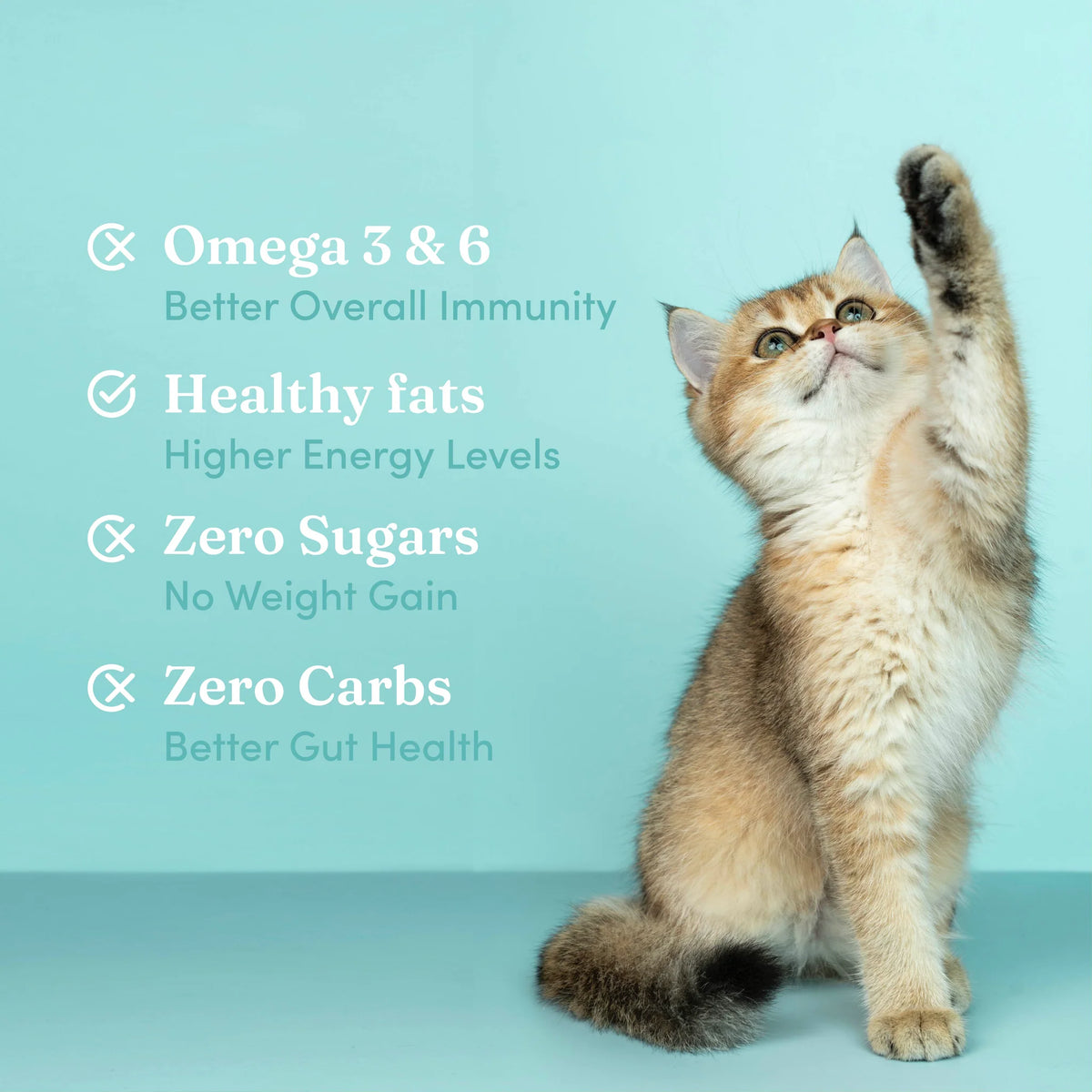 Vedic Tails Full Spectrum Cannabis leaf extract for pets