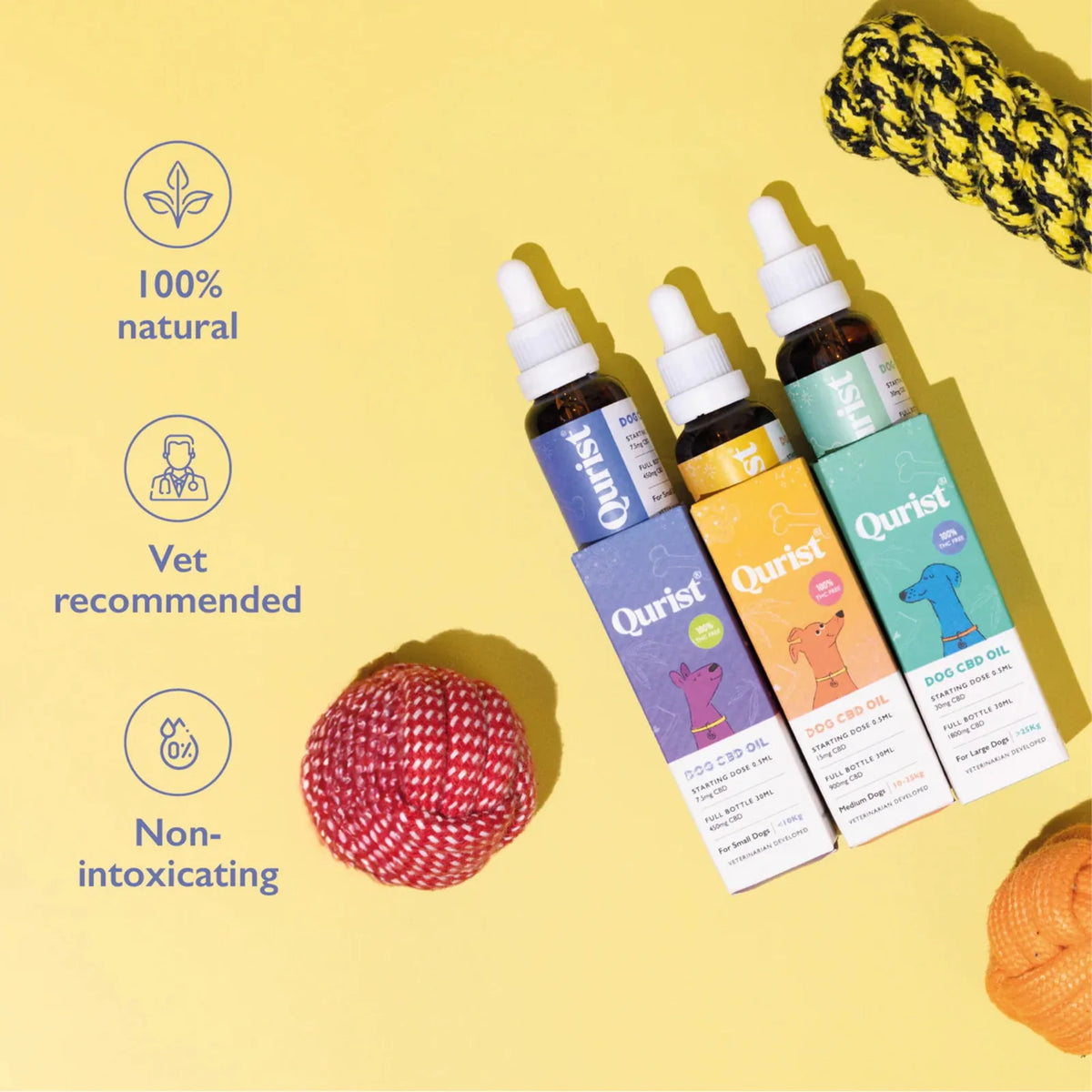 Dog CBD Oil