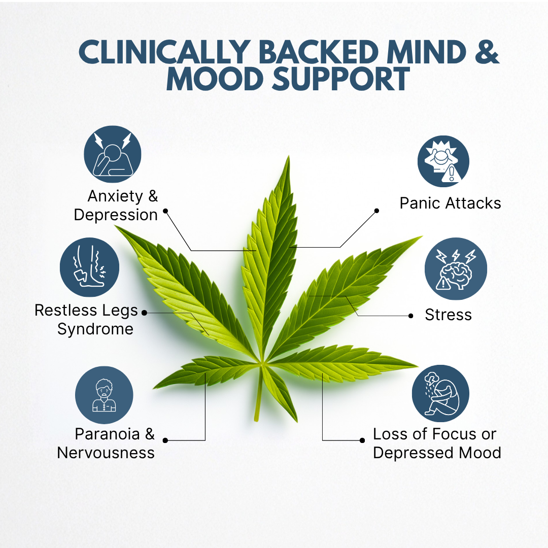 Cannazo India Calm Drops CBD Dominant – Morning Bless 10ml