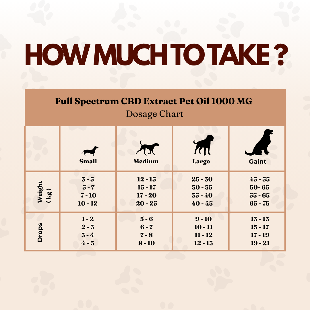 Cannazo India Full Spectrum CBD extract pet oil 1000mg - 10ml