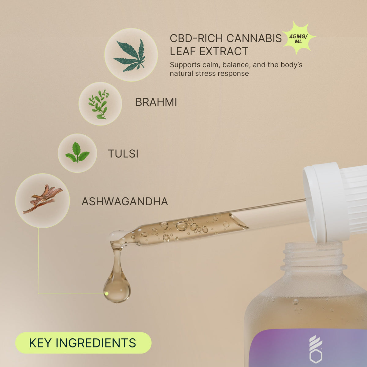 BOHECO BLISS SOOTHES ANXIETY & STRESS - 10ml