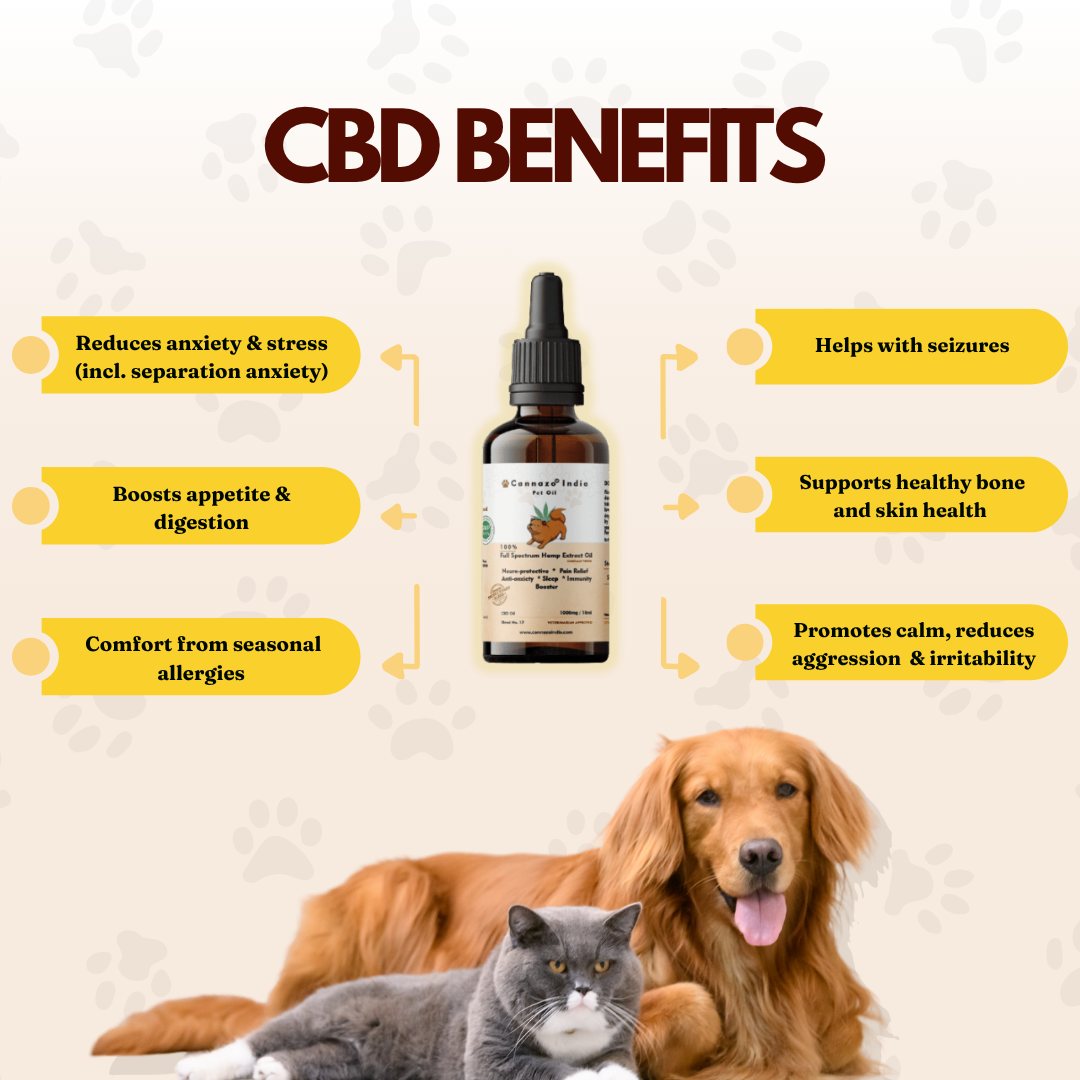 Cannazo India Full Spectrum CBD extract pet oil 1000mg - 10ml
