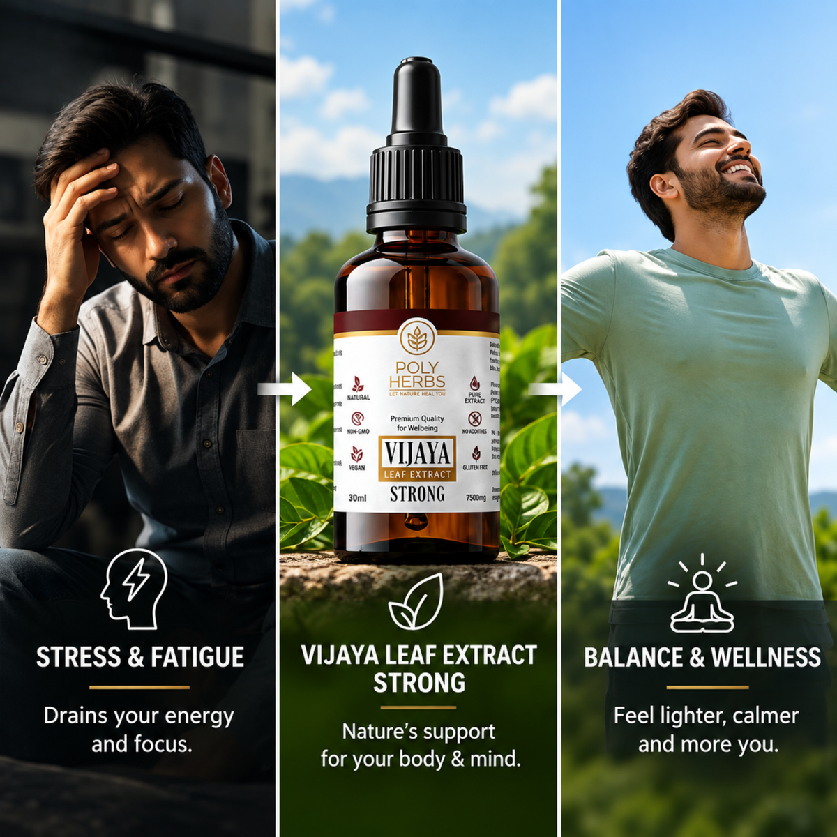PolyHerbs STRONG Premium Full Spectrum Vijaya Extract 7500mg