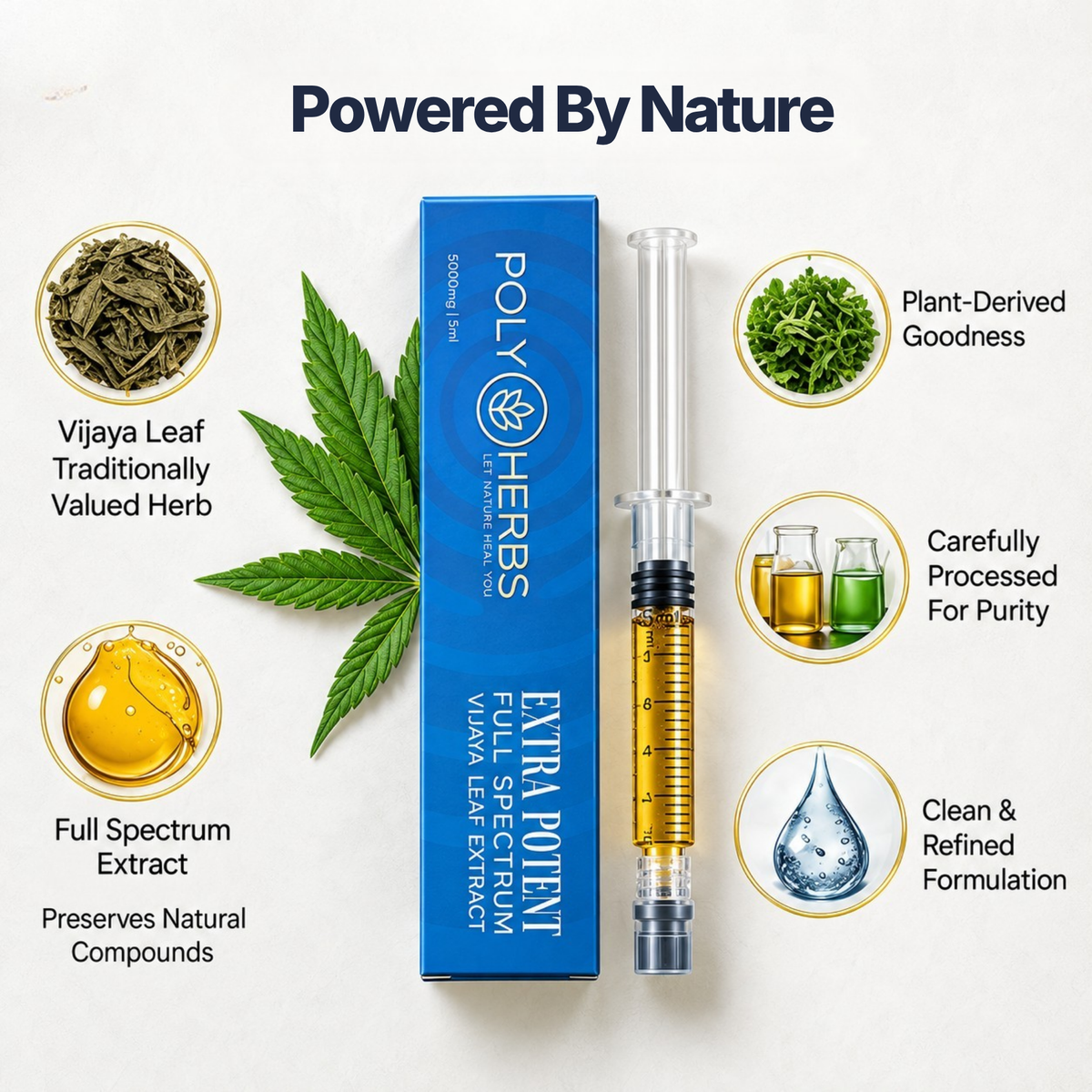 PolyHerbs Extra Potent Triple Strength RSO Extract Syringe – 5ml