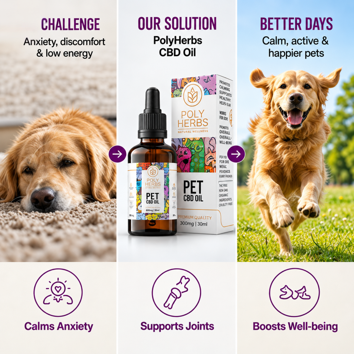 PolyHerbs CBD Oil for Pets 3000mg (THC Free)