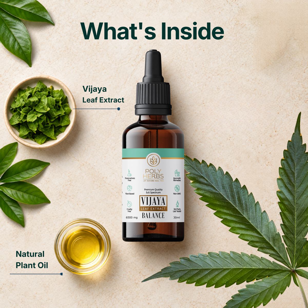 PolyHerbs BALANCE Vijaya Leaf Extract 6500mg