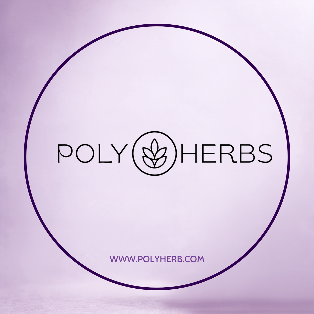 PolyHerbs CBD Oil for Pets 3000mg (THC Free)