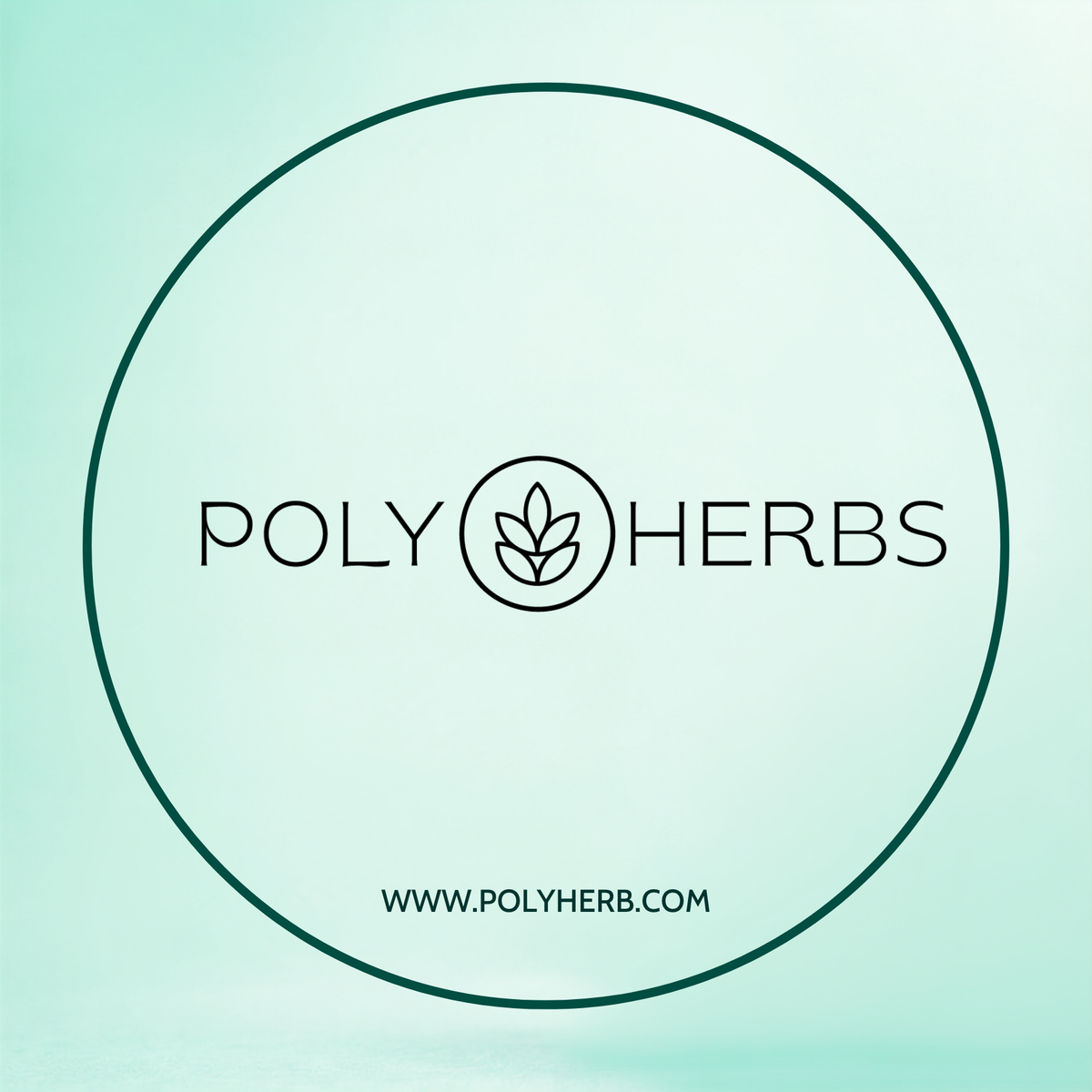 PolyHerbs BALANCE Vijaya Leaf Extract 6500mg