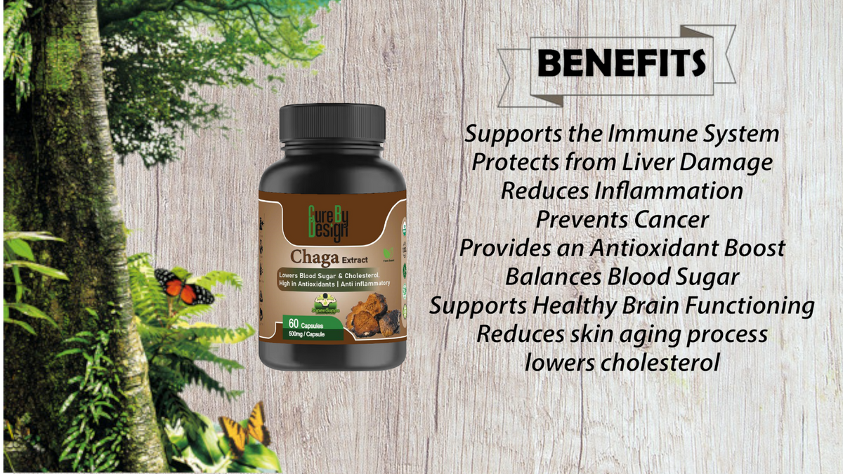 Chaga Mushroom