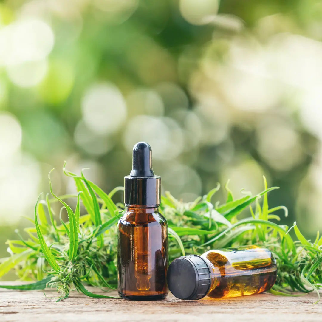 CBD Oil