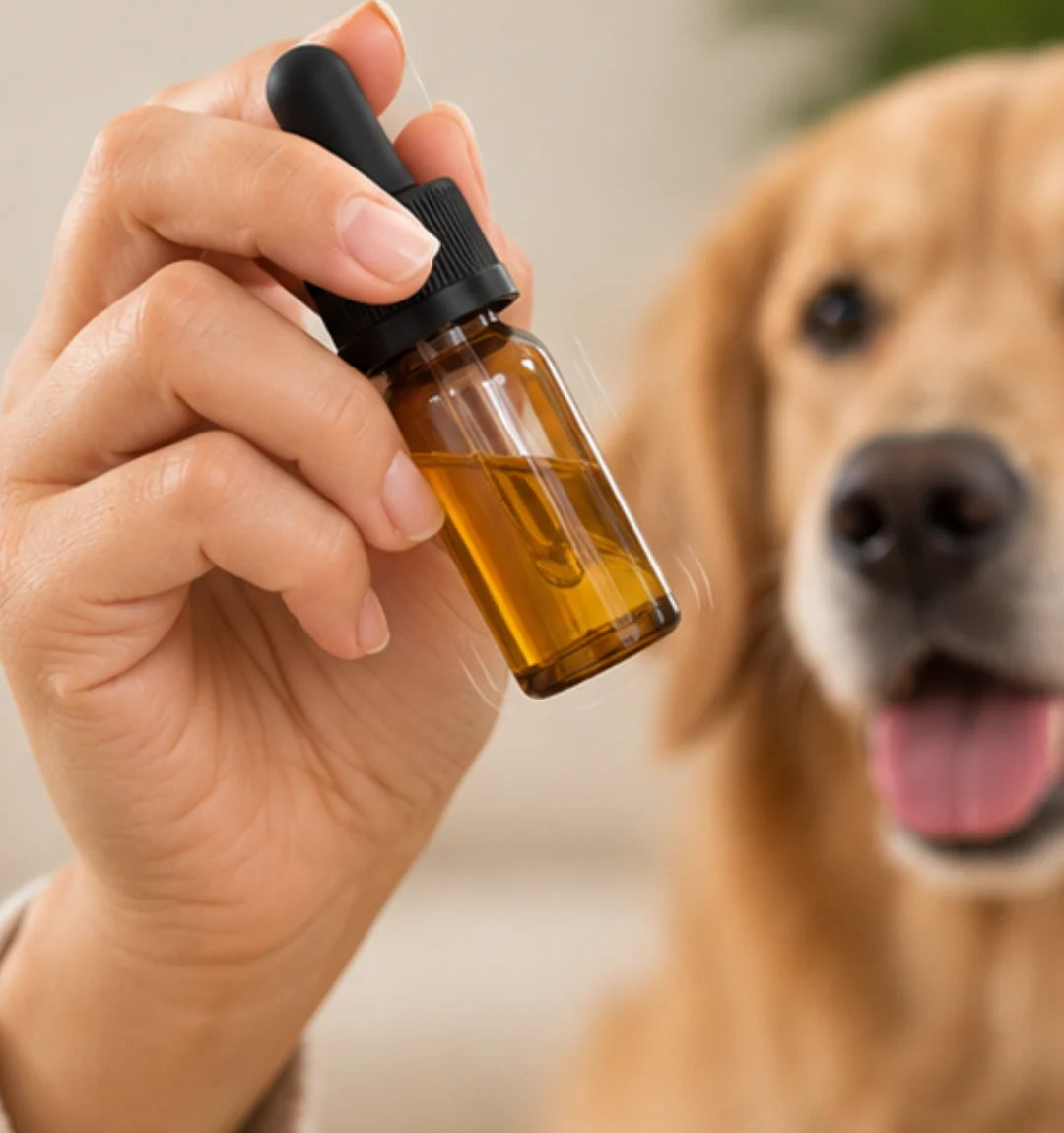 Calibrate 2 To 4 Drops For Pet