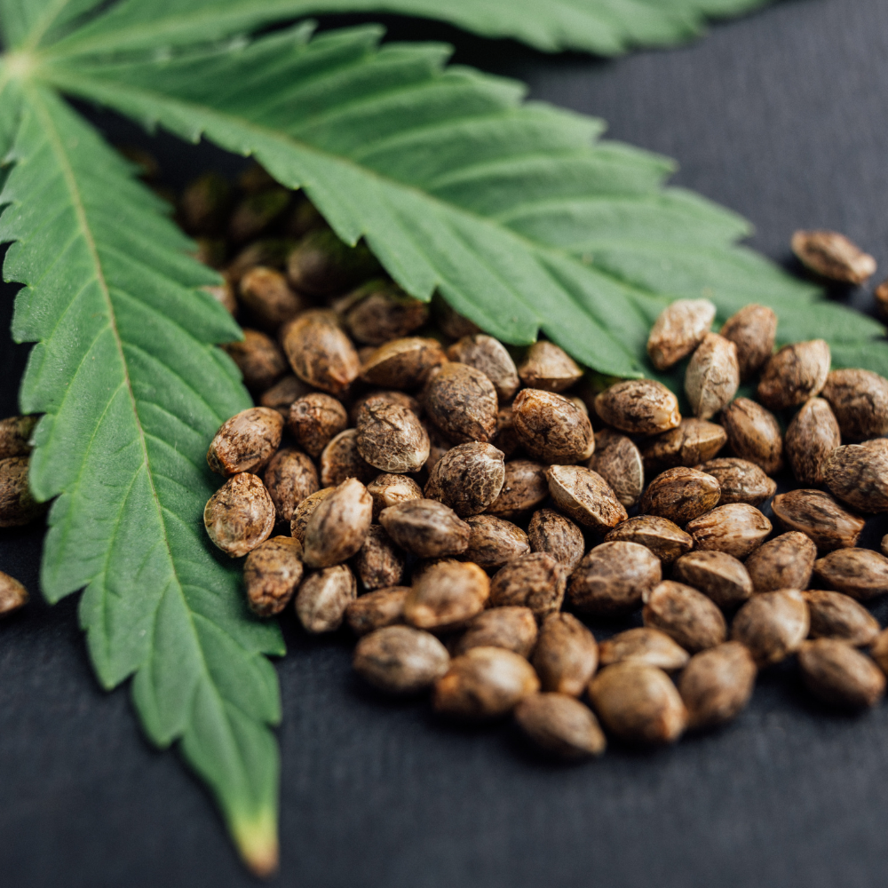Cold-Pressed Organic Hemp Seed Oil