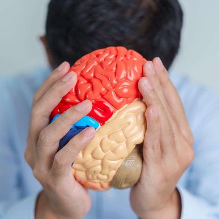 Cognitive & Alzheimer's