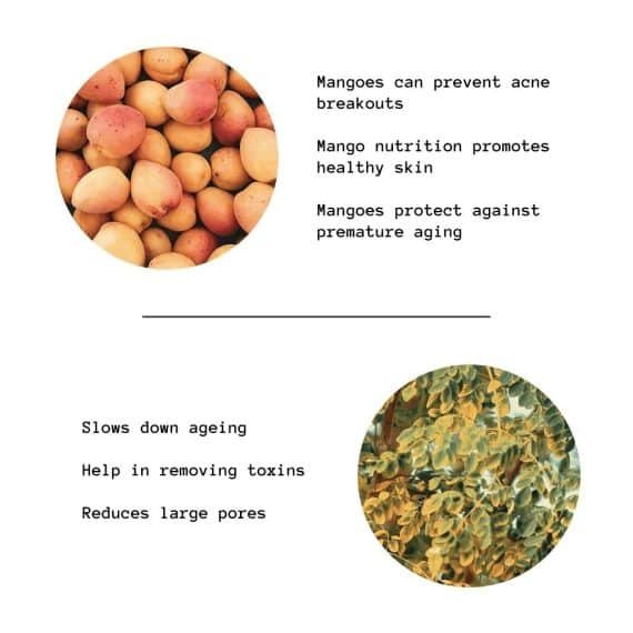 Satliva Mango Rosemary Face Cream