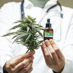 CBD Doctors