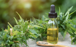 vijaya extract