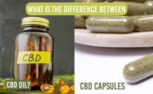 Diffrence between cbd oil and cbd capsules