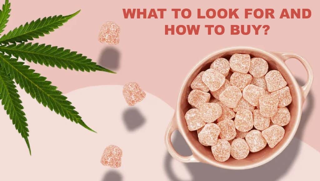 CBD Gummies India