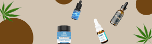 CBD oil in Delhi