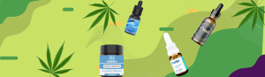 CBD Oil in Gujarat
