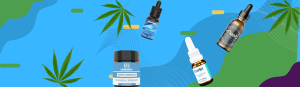 CBD Oil in Gurugram Haryana